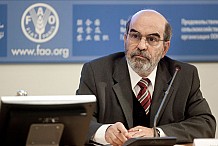 FAO: coup d'envoi de l'Année internationale de l'agriculture familiale 2014.